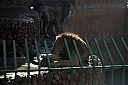 crw_3970.jpg