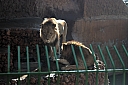 crw_3971.jpg