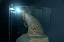 crw_3974.jpg