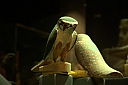 crw_3979.jpg