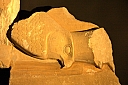 crw_3988.jpg