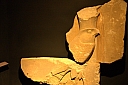 crw_3989.jpg