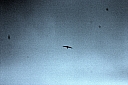 crw_4010.jpg
