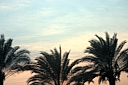 crw_4018.jpg