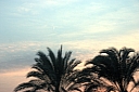 crw_4019.jpg