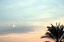 crw_4020.jpg