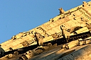 crw_4079.jpg