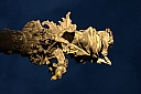 crw_4086.jpg