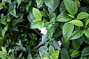 img_3304.jpg