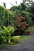 img_3305.jpg