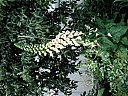 kif_0008.jpg