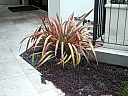kif_0013.jpg
