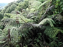 kif_0032.jpg
