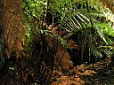 kif_0033.jpg