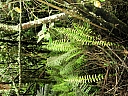 kif_0035.jpg