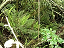 kif_0037.jpg
