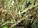 kif_0038.jpg