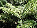 kif_0039.jpg