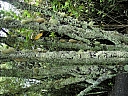 kif_0041.jpg
