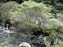 kif_0056.jpg