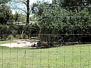 kif_0074.jpg