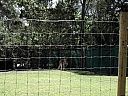 kif_0075.jpg