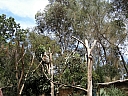 kif_0079.jpg