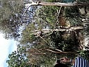 kif_0081.jpg