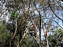 kif_0083.jpg