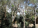 kif_0084.jpg