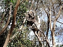 kif_0087.jpg