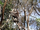 kif_0089.jpg