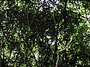 kif_0090.jpg