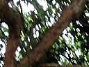 kif_0091.jpg