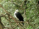 kif_0092.jpg