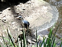 kif_0093.jpg