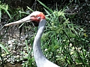 kif_0100.jpg