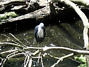 kif_0103.jpg