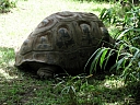 kif_0104.jpg
