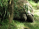 kif_0105.jpg