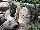 kif_0107.jpg
