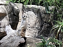 kif_0108.jpg