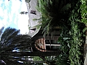 Click on thumbnail to enlarge kif_0118.jpg