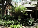 Click on thumbnail to enlarge kif_0119.jpg
