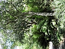 Click on thumbnail to enlarge kif_0120.jpg