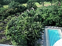 Click on thumbnail to enlarge kif_0128.jpg