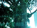 Click on thumbnail to enlarge kif_0132.jpg