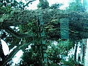 Click on thumbnail to enlarge kif_0133.jpg
