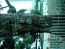 Click on thumbnail to enlarge kif_0134.jpg