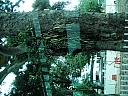 Click on thumbnail to enlarge kif_0135.jpg